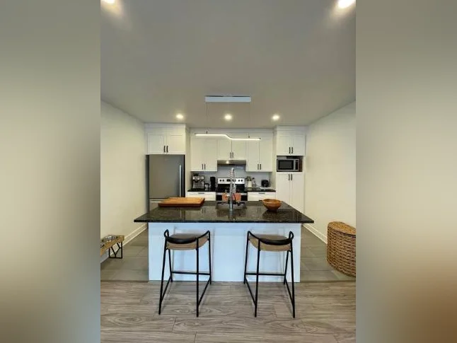 GRAND LOGEMENT LUMINEUX AVEC TERRASSE PRIVÉE À LOUER thumbnail 2