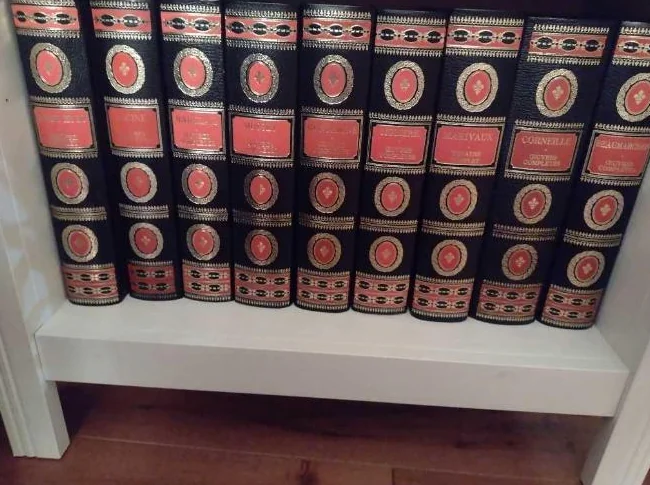 Collection de 12 livres écrits classiques thumbnail 6