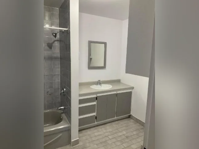 Logement à louer thumbnail 4