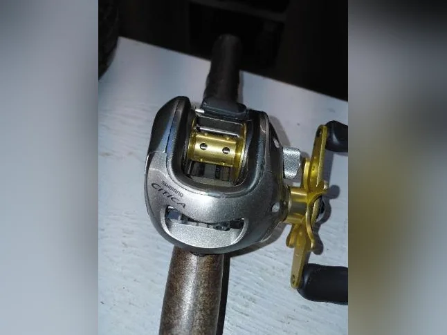 moulinet shimano citica 201D et canne a peche