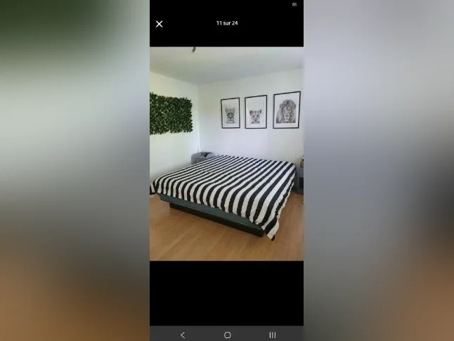 Très grand 4 1/2 thumbnail 7