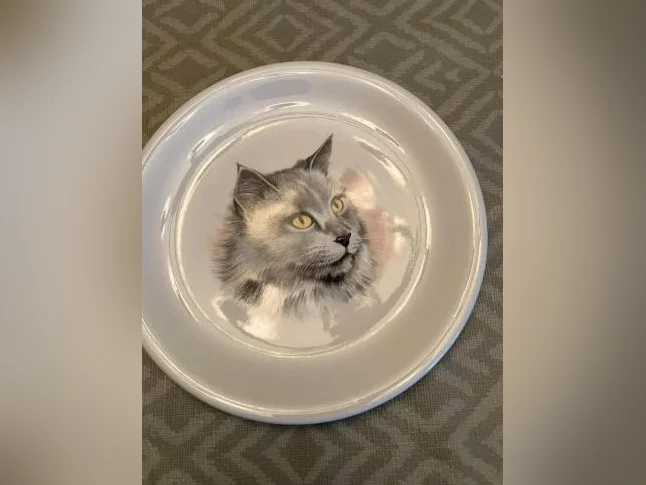 chats de collection (assiettes ou bibelots thumbnail 8