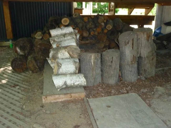 Bois de chauffage thumbnail 2
