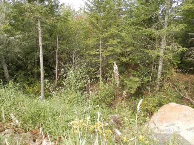 Terrain A Vendre Ste Agathe Des Monts thumbnail 9