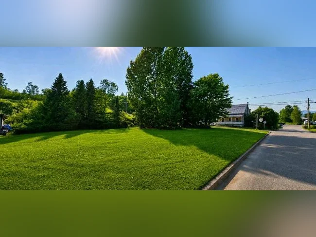 🏡 Terrain résidentiel de 931,8 m² à vendre – Saint-Urbain, Charlevoix ⭐ thumbnail 2