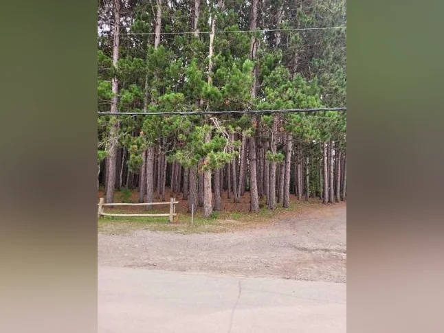 Terrain commercial a vendre rawdon thumbnail 5
