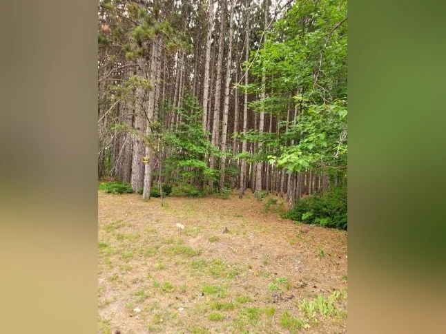 Terrain commercial a vendre rawdon thumbnail 3