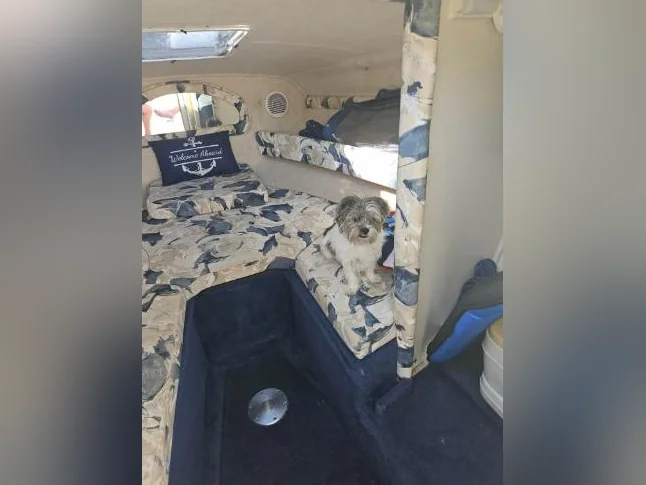 SEARAY EXPRESS CRUISER 21,5 thumbnail 2