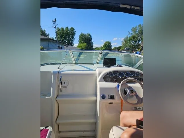 SEARAY EXPRESS CRUISER 21,5