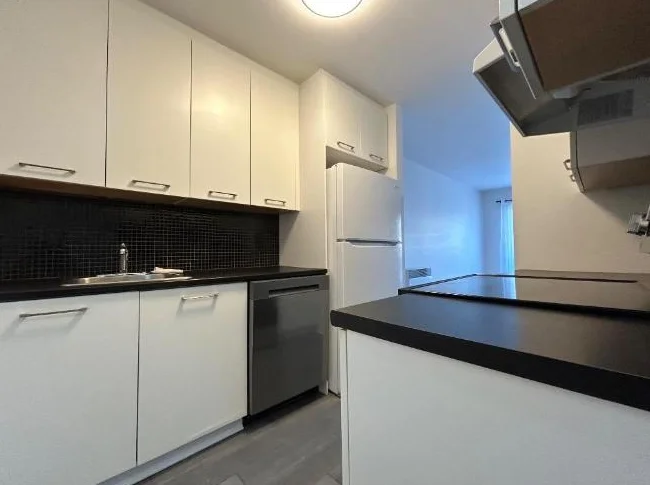 LACHINE, 3 1/2, STYLE CONDO, CLÉ-EN-MAIN   (possibilité électros-ménagers et Stationnement) thumbnail 3