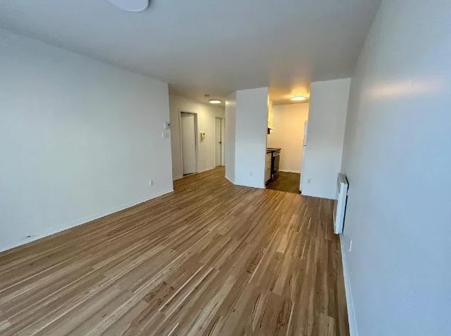 LACHINE, 3 1/2, STYLE CONDO, CLÉ-EN-MAIN   (possibilité électros-ménagers et Stationnement) thumbnail 2