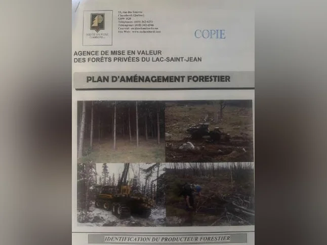 Lot à bois thumbnail 6