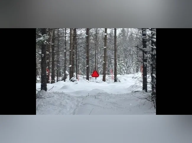 Lot à bois thumbnail 7