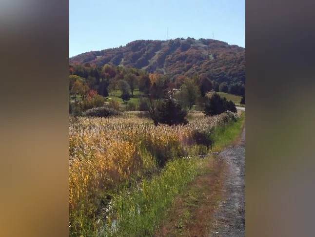 3 1/2 Bromont thumbnail 3