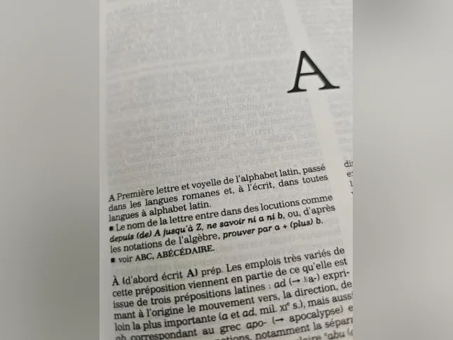 Dictionnaire Historique de la langue française /Alain Rey & Le robert thumbnail 6
