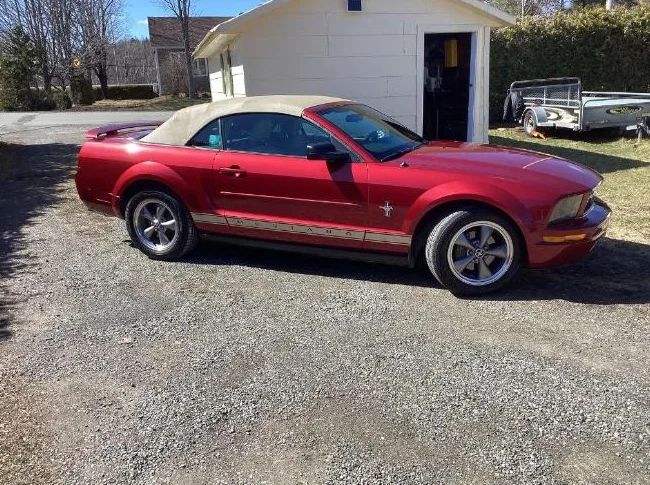 Mustang 2006 thumbnail 10