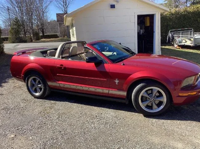 Mustang 2006