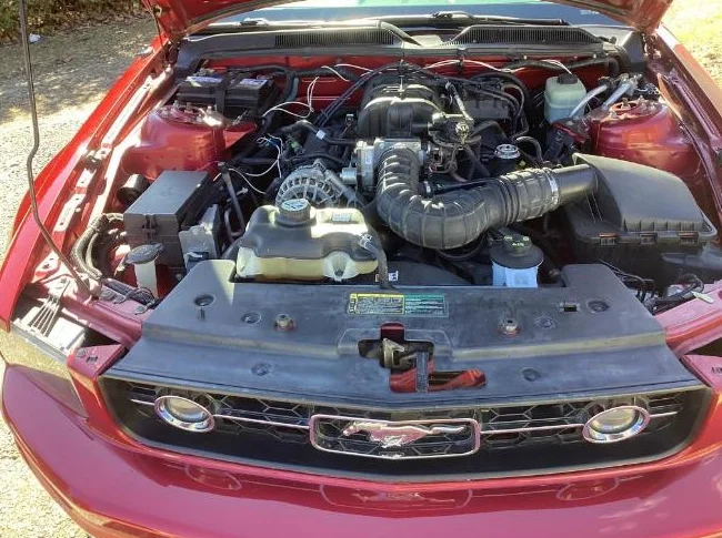 Mustang 2006 thumbnail 7