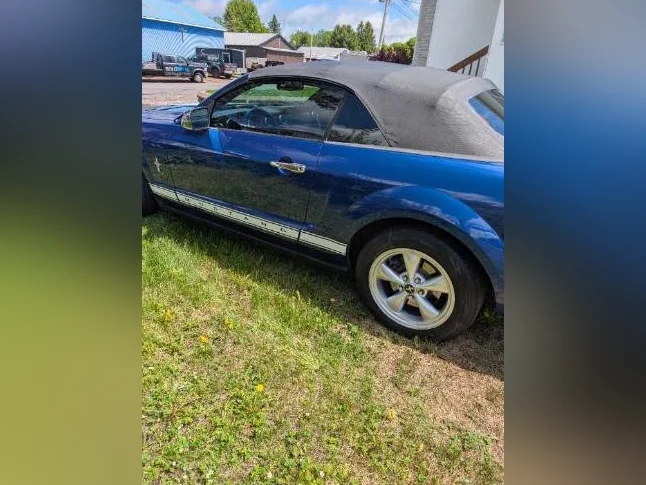 Mustang thumbnail 7