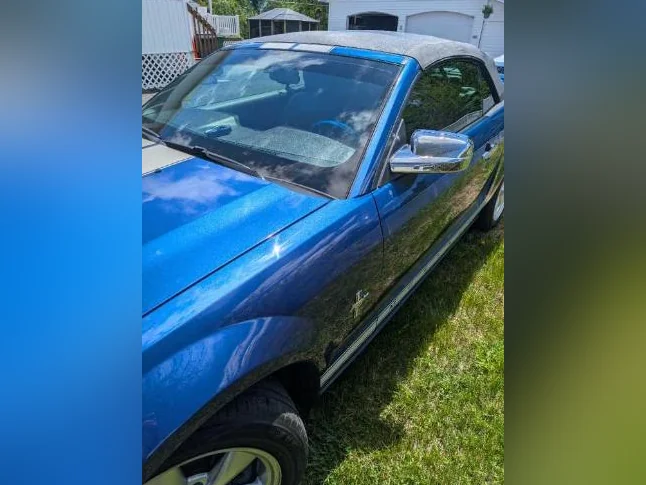 Mustang thumbnail 8