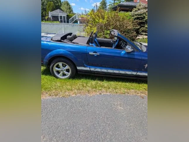 Mustang