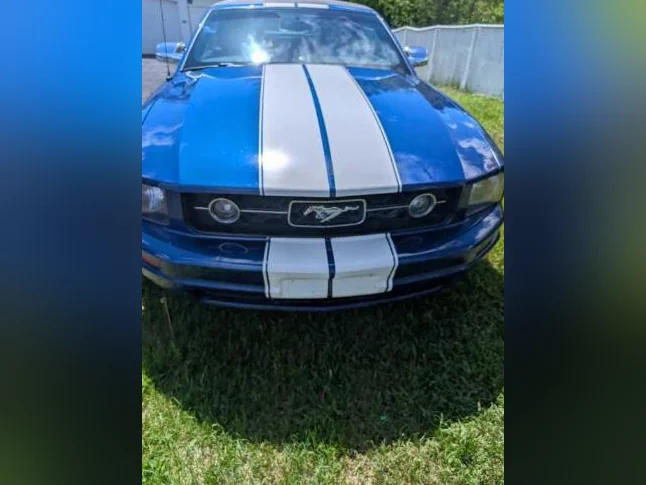 Mustang thumbnail 9