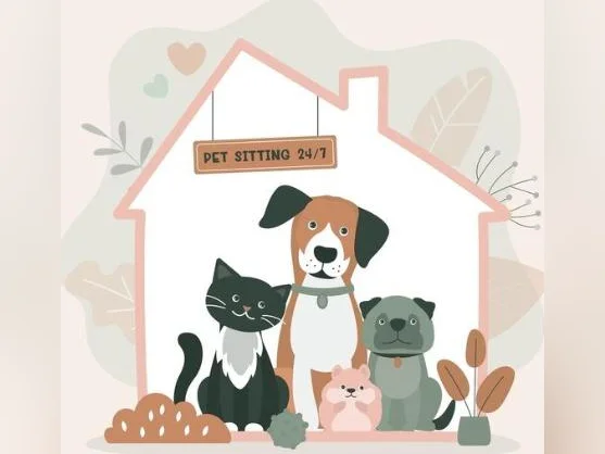 Gardienne d'animaux chez vous à Montréal pour vos chats, oiseaux, lapins