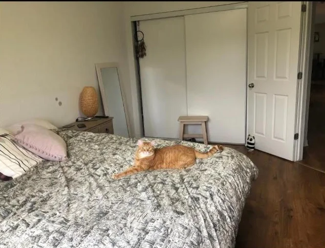APPARTEMENT 3 CHAMBRES À COUCHER 1ER AOUT thumbnail 10