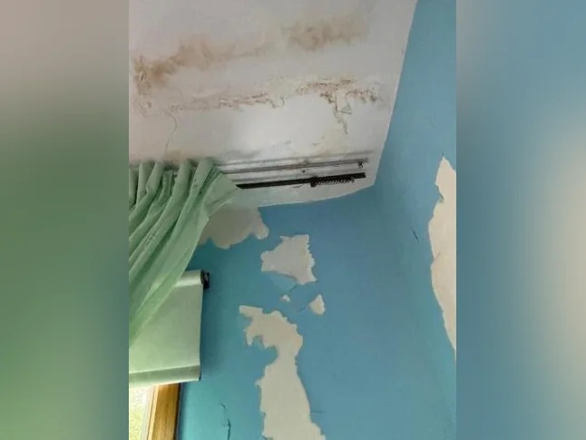 Draywall Repair, Taping, Plastering & Painting