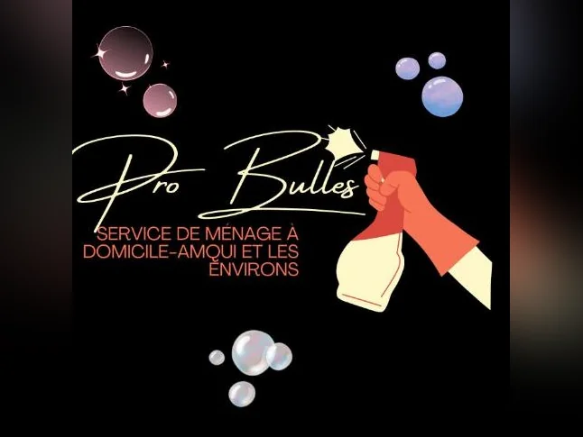 Service de Ménage à Domicile Pro Bulles