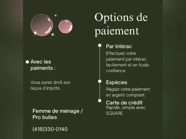 Service de Ménage à Domicile Pro Bulles thumbnail 4
