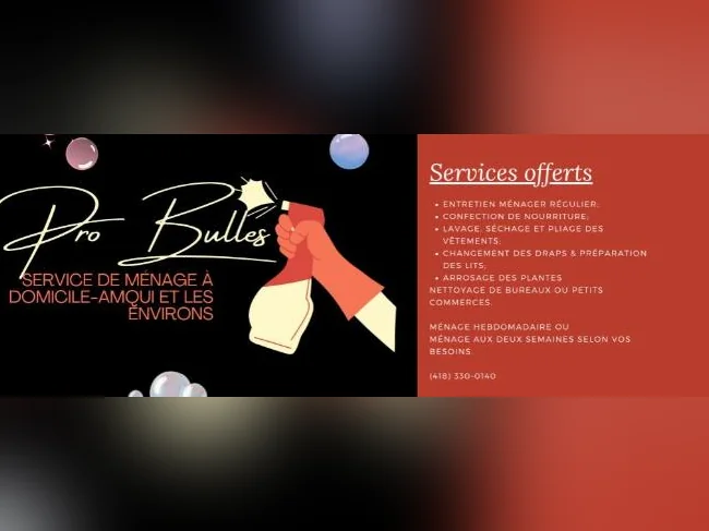 Service de Ménage à Domicile Pro Bulles thumbnail 2