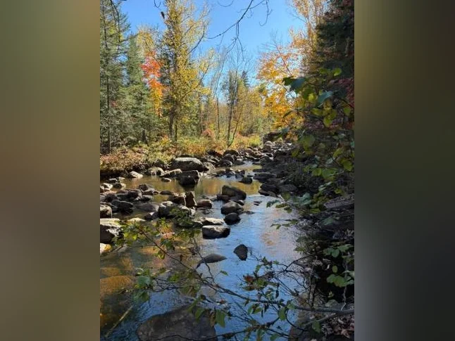 Terrain sur ruisseau prêt à construire (Saint-Donat)