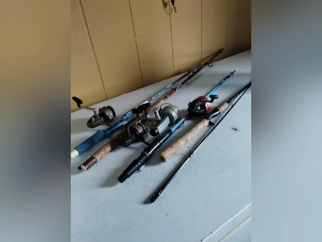 canes a pêche au choix a 10$ chacune