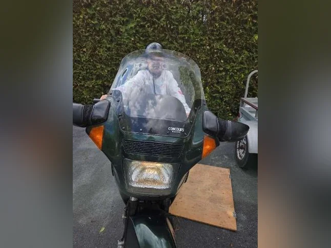 Kawasaki concours zg1100 à vendre