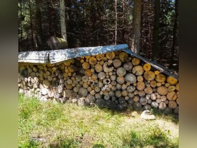 Bois de chauffage (40$) et bois feu de camp (5$/paquet, min 10 paquets). Livraison St-Georges et environ