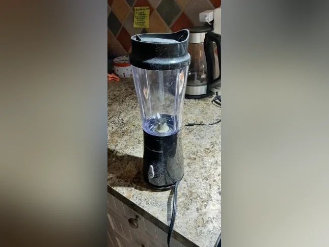 malaxeur pour smoothies