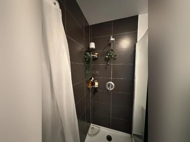Studio à louer - Vieux-Longueuil! thumbnail 5