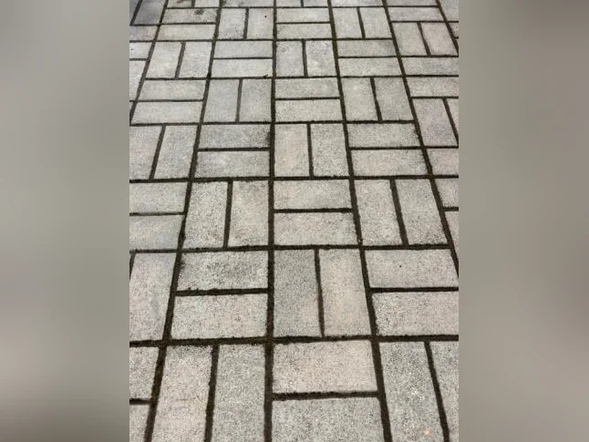 Pavé unis thumbnail 2
