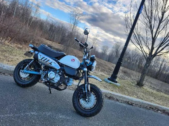 Honda monkey 2025