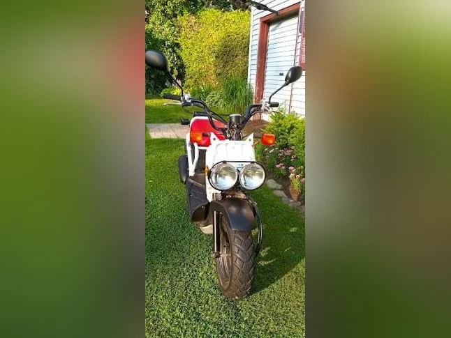 Scooter Honda Ruckus 2012 3395km thumbnail 5