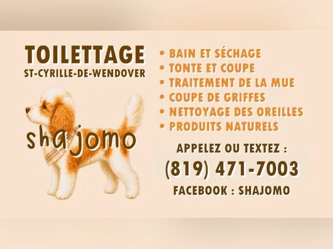 TOILETTAGE CANIN SHAJOMO