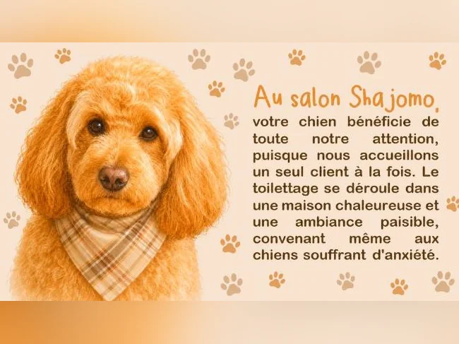 TOILETTAGE CANIN SHAJOMO thumbnail 2