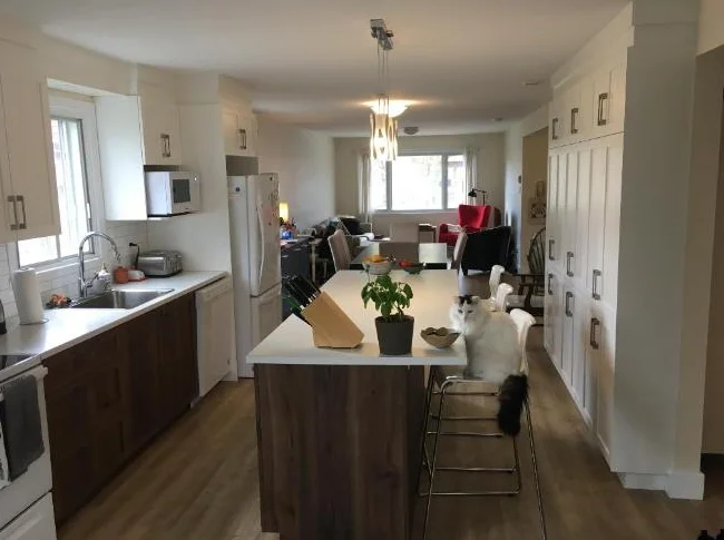5 1/2 pcs très grand entièrement rénové Vieux Longueuil 5 electro. inclus thumbnail 5