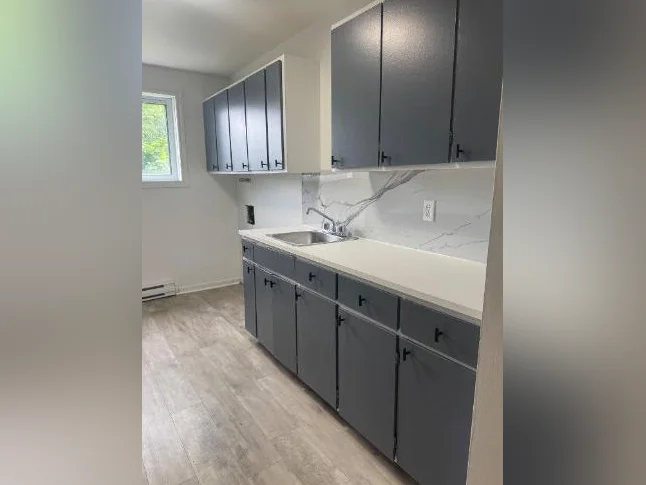 Logement à louer Saint-Jean-Baptiste de Rouville thumbnail 7
