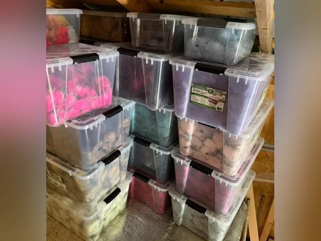 Pompons