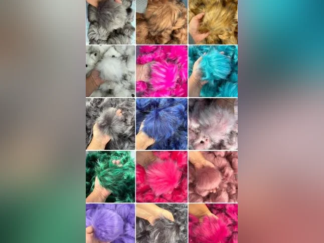 Pompons thumbnail 3