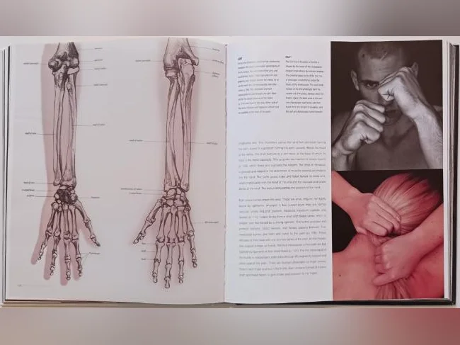 Anatomy for the Artist par Sarah Simblet (photos-dessins) thumbnail 5