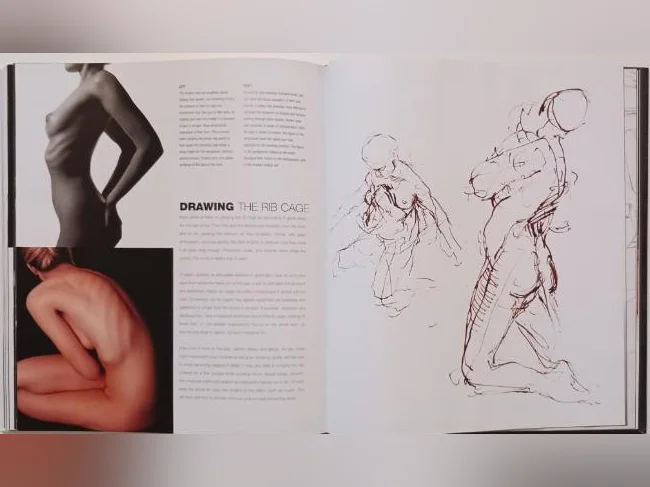 Anatomy for the Artist par Sarah Simblet (photos-dessins) thumbnail 6