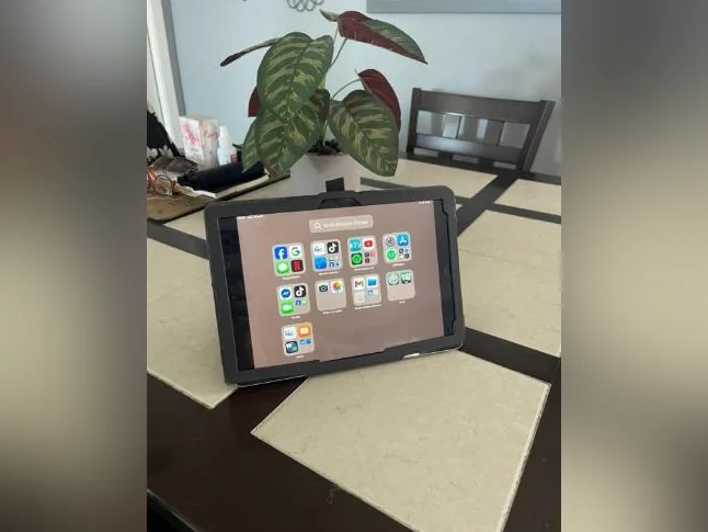 iPad 3e génération thumbnail 3